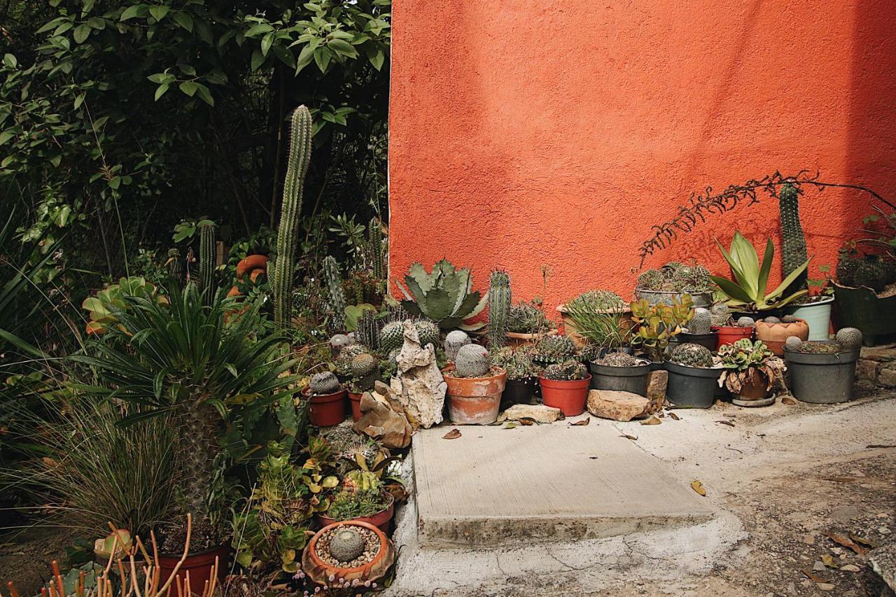 Cabana Campestre En Oaxaca Dış mekan fotoğraf