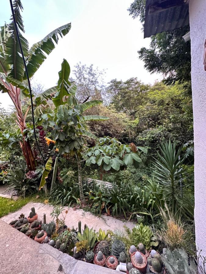 Cabana Campestre En Oaxaca Dış mekan fotoğraf